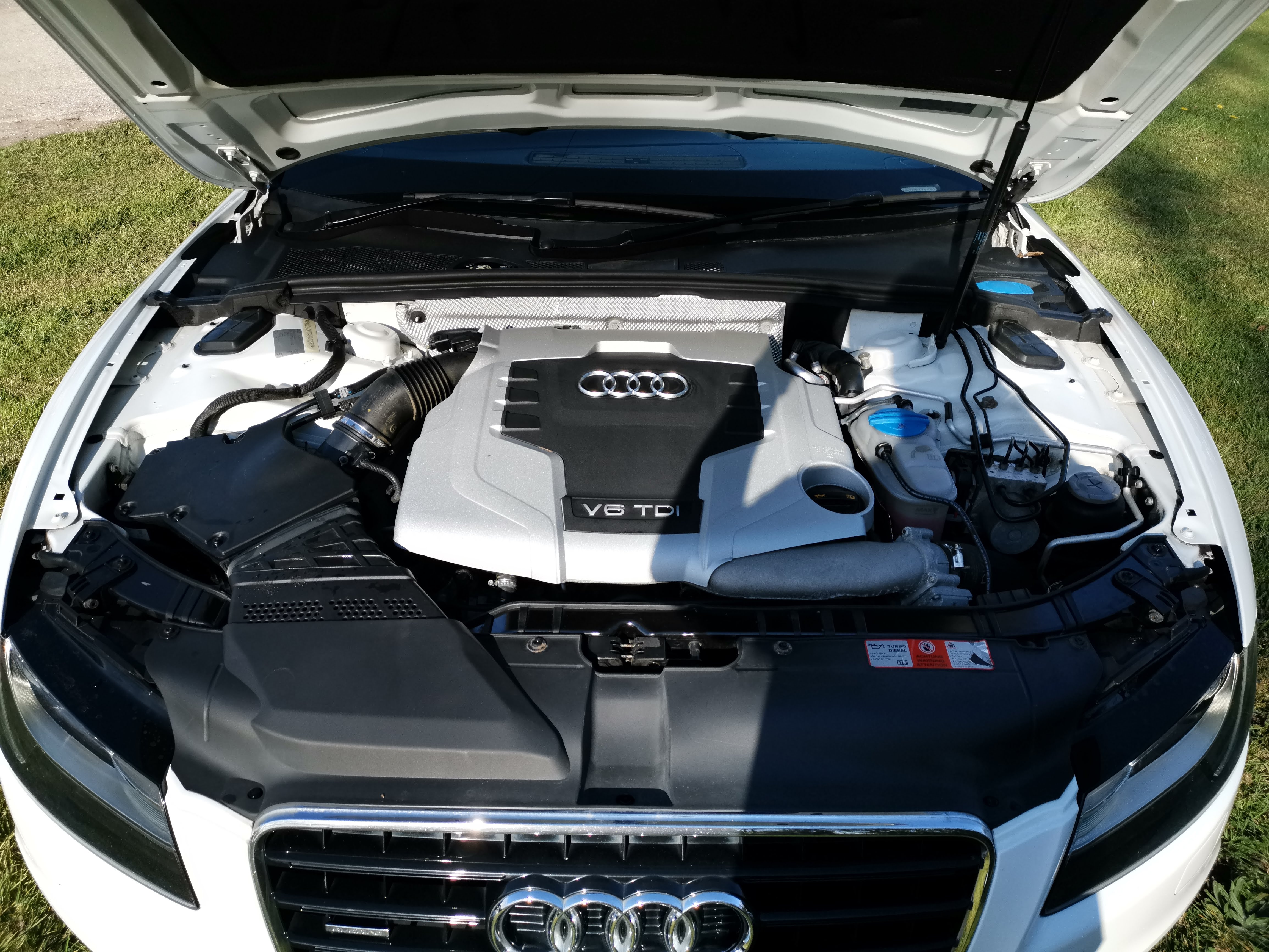 Engine Bay Detail